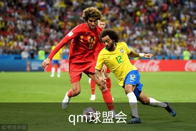 qm球盟会公司介绍展示图